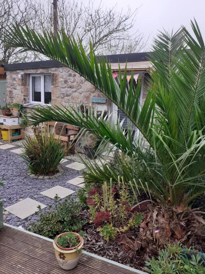 Apartament Little Pedn Penzance Zewnętrze zdjęcie